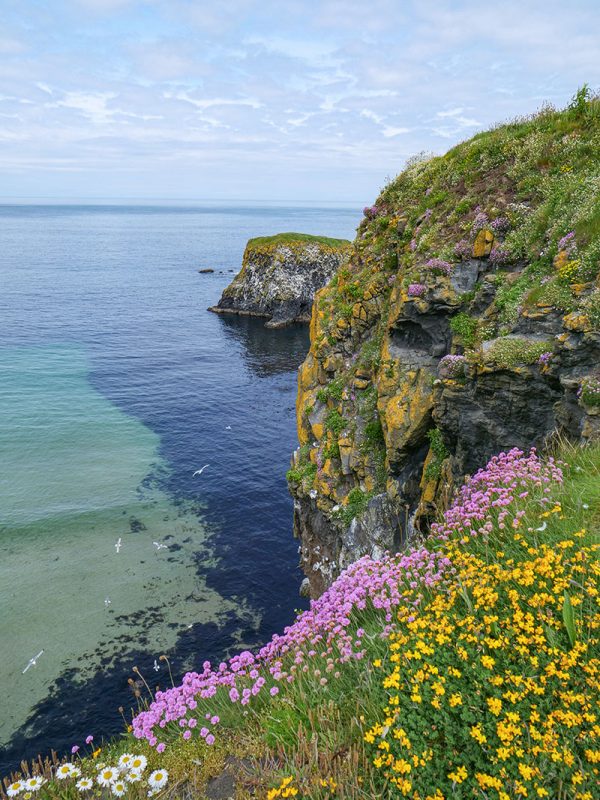 The Causeway Coastal Route