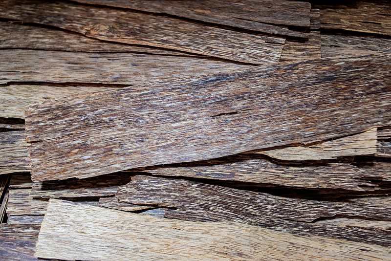 Agarwood oud chips