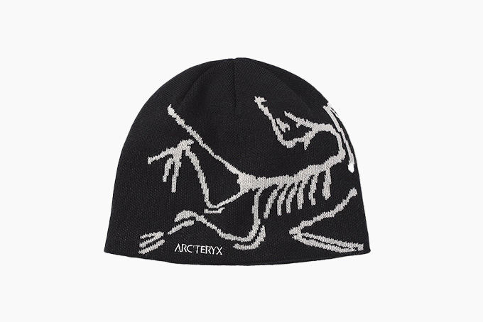 ArcTeryx Bird Head Toque