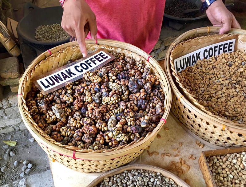Kopi Luwak - one of the most expensive food in the world