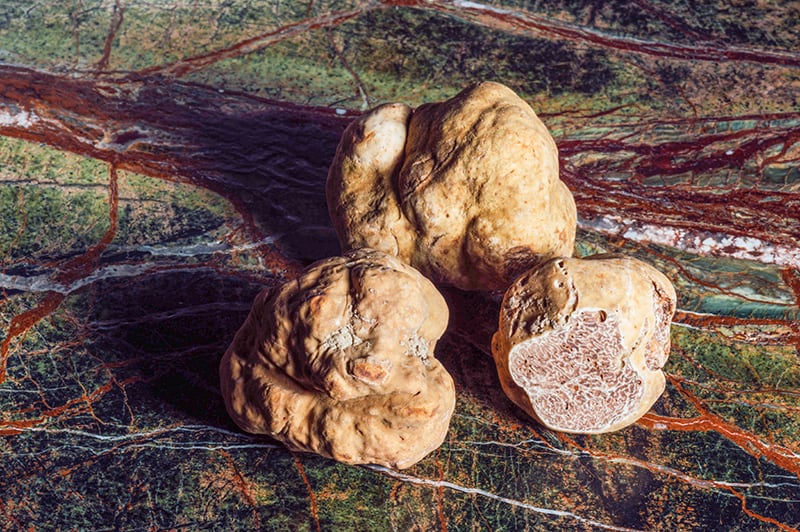 Albi white truffles