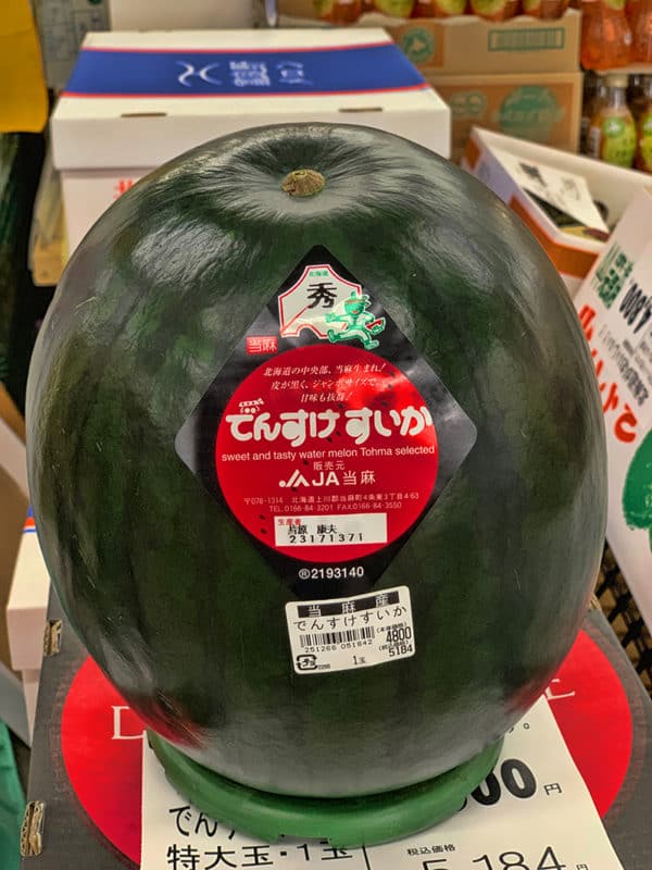 Black Densuke Watermelon