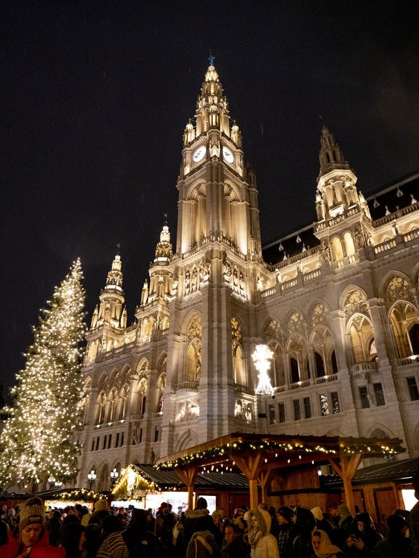 Vienna City Hall and Christkindlmarkt
