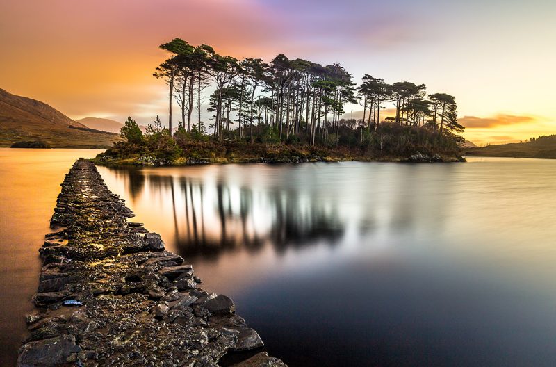 Pine Island, Connemara