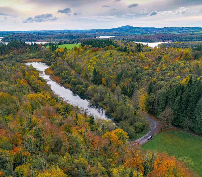 Aerial view of Killykeen Forest Park