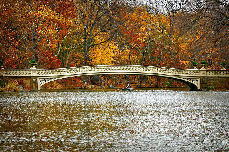 Bow Bridge, Central Park