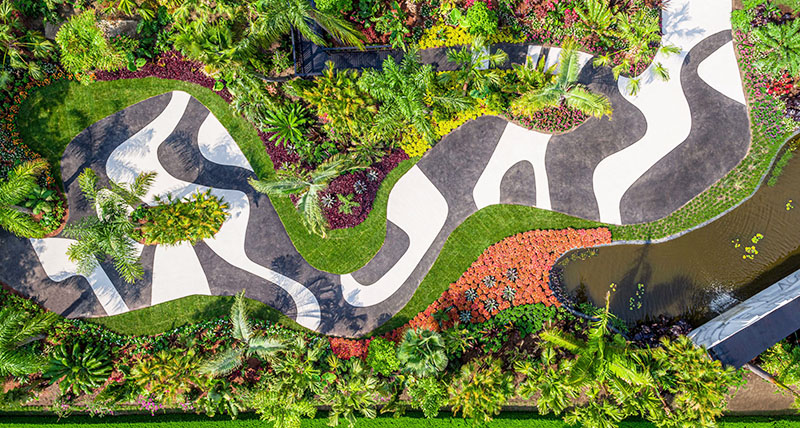 The Living Art of Roberto Burle Marx