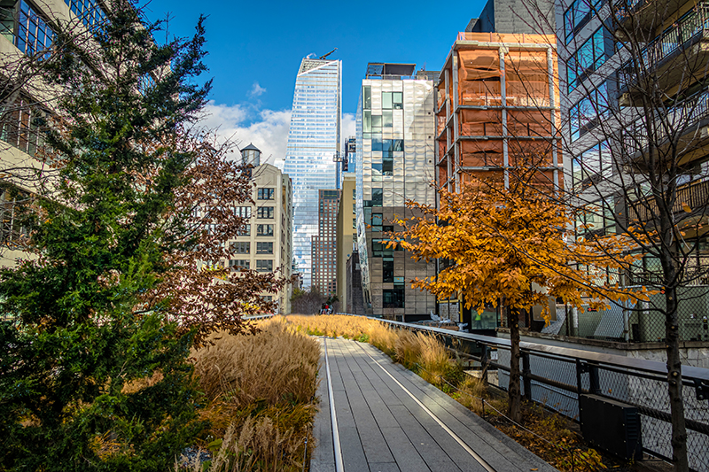 The High Line, NYC