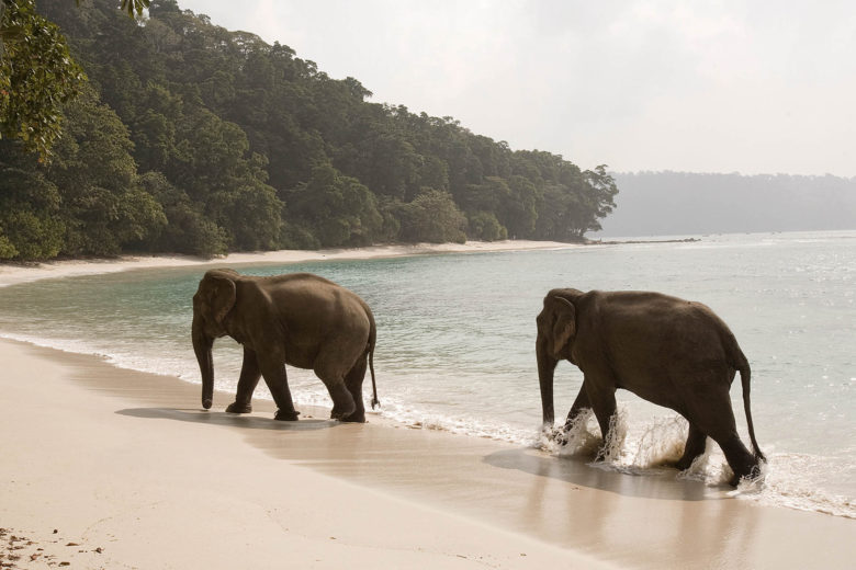 most beautiful islands in the world Andaman Islands Luxa Terra