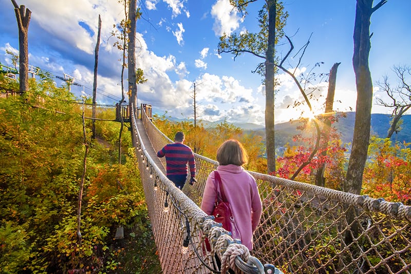 Anakeesta Treetop Skywalk