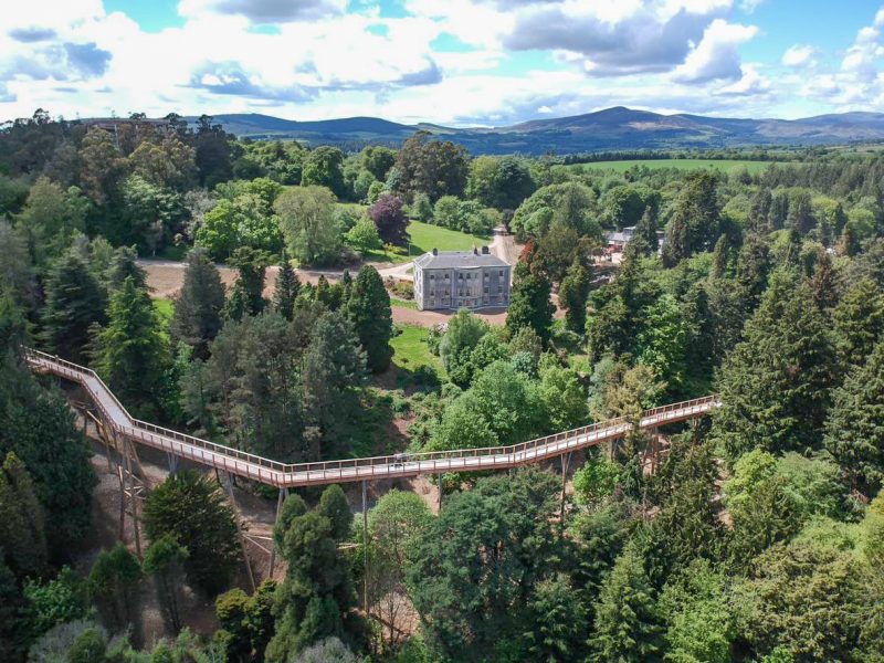 Aerial view of the Beyond The Trees Avondale walkway