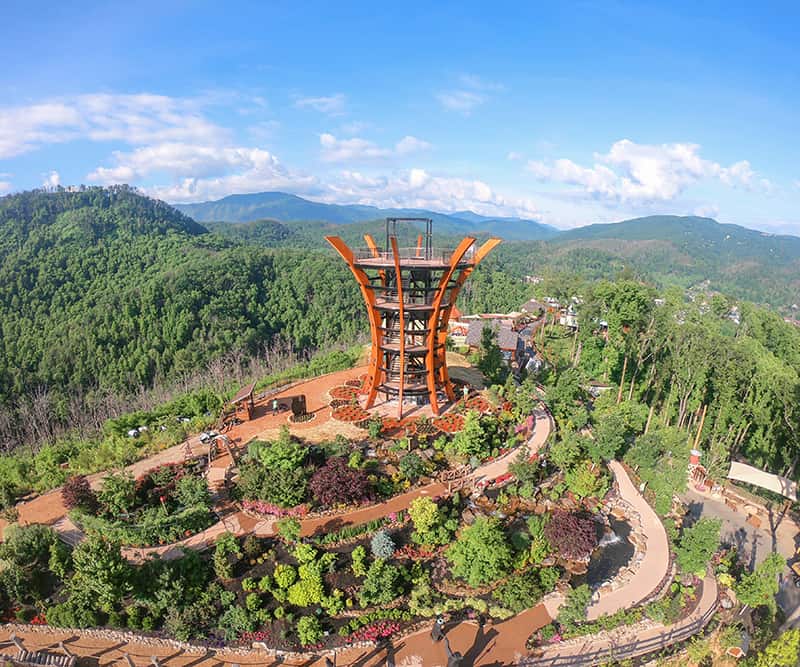 Anavista Observation Tower at Anakeesta theme park