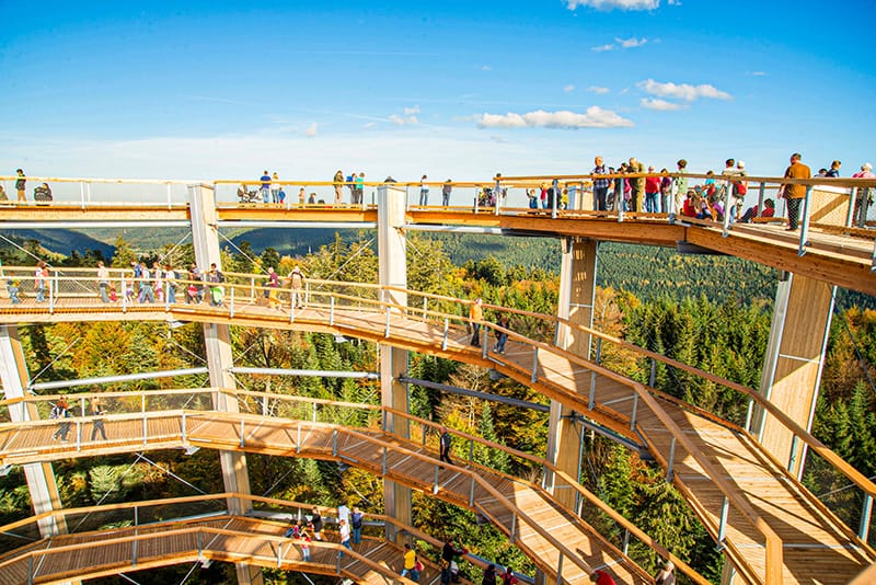 Treetop Walk Black Forest 