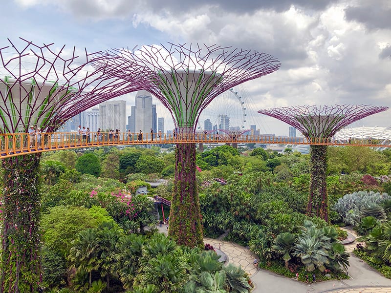 OCBC Skyway, Gardens by the Bay