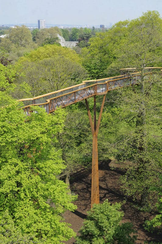 Treetop Walkway at Royal Botanic Gardens Kew