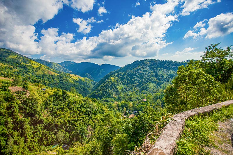 The Blue mountains of Jamaica are famous for their coffee