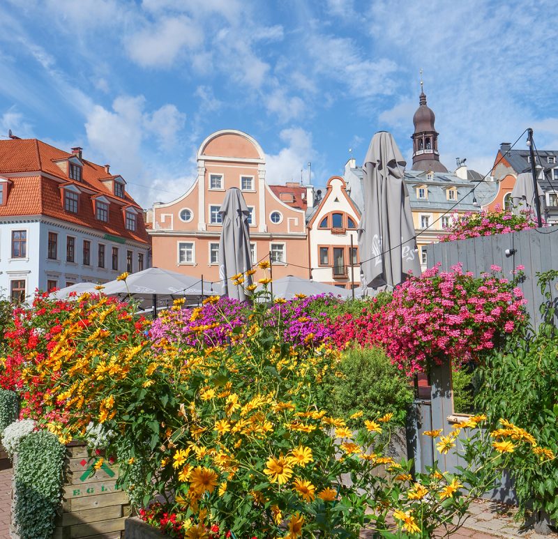 Floral displays in Riga in Summertime