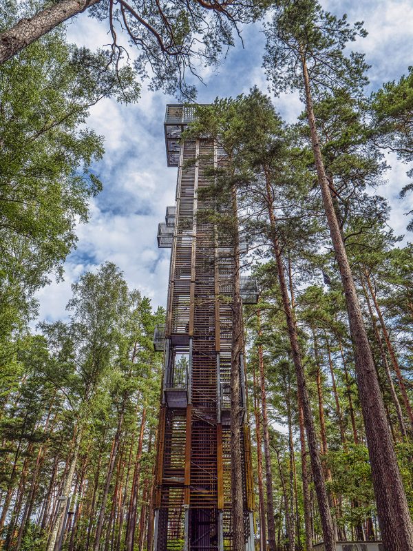 Dzintari viewing platform