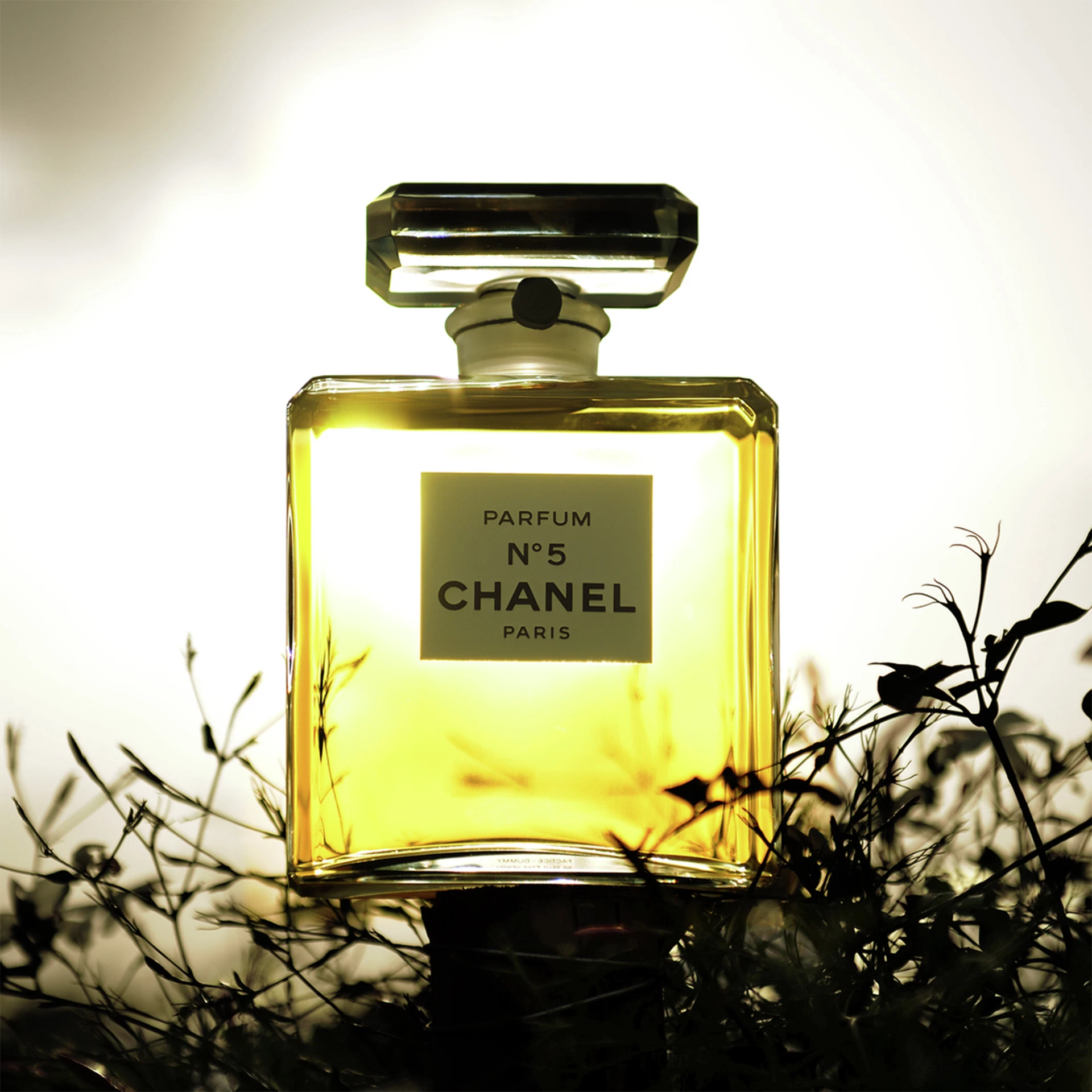 Домашний парфюмер Chanel Оливье Польж формирует обонятельную вселенную Chanel