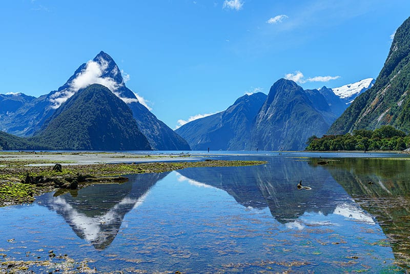 Reflections of mountains in the water at Milford Sound, New Zealand