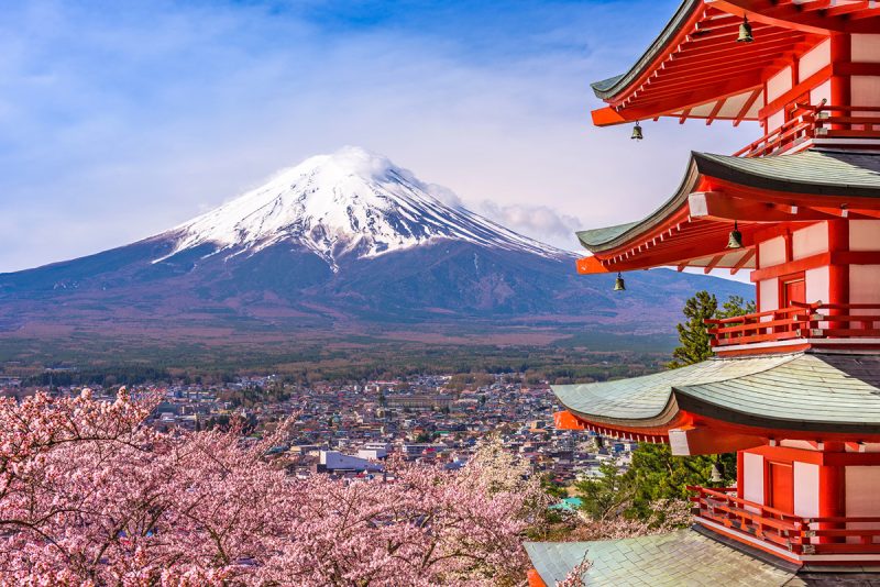 Cherry blossoms in Japan
