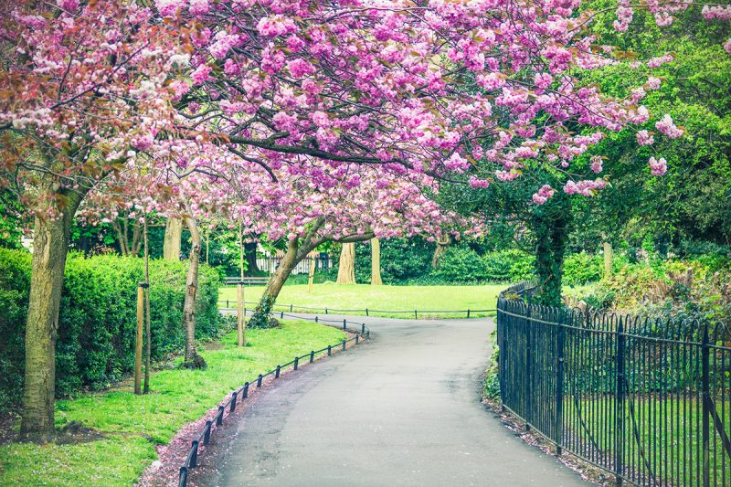 Saint Stephen's Green park, Dublin