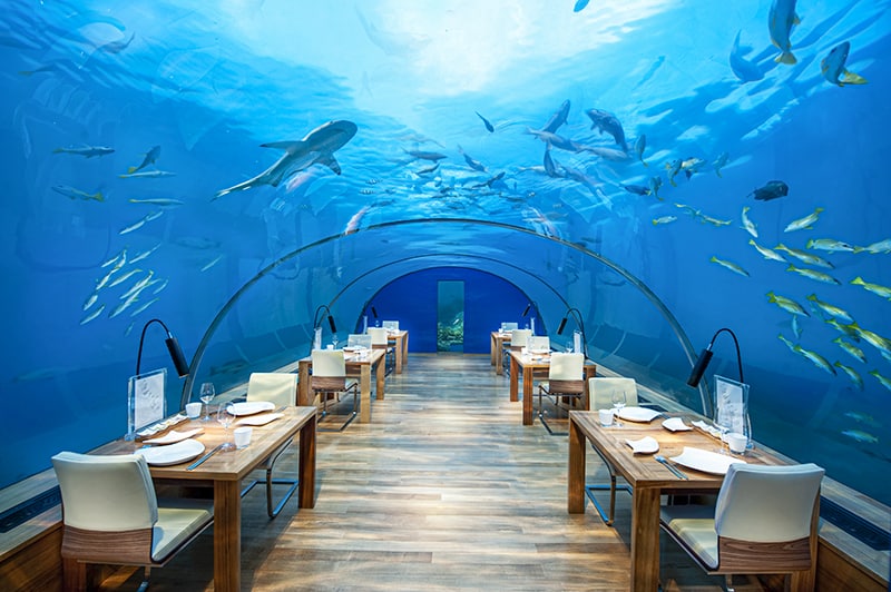Dine in an underwater restaurant in the Maldives