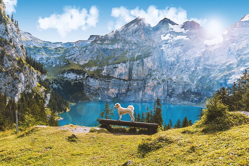 Lake Oeschinen, Switzerland