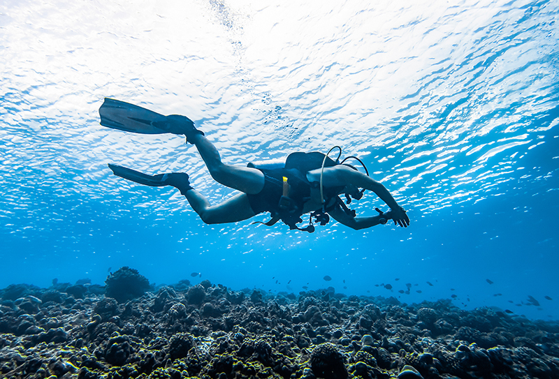 Scuba diving in the Indian ocean
