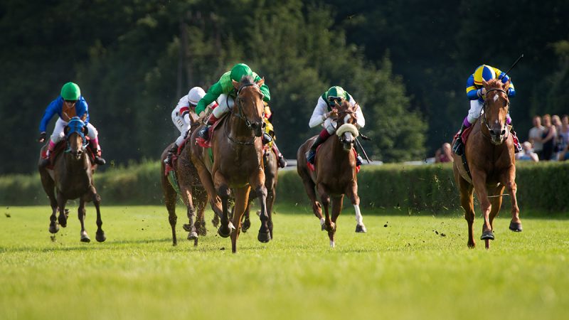 Horse racing in action