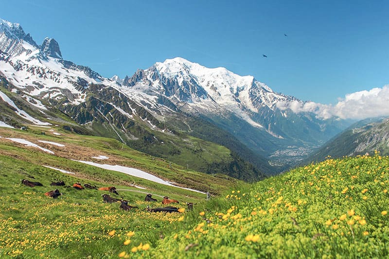 Famous French landmarks - Mont Blanc