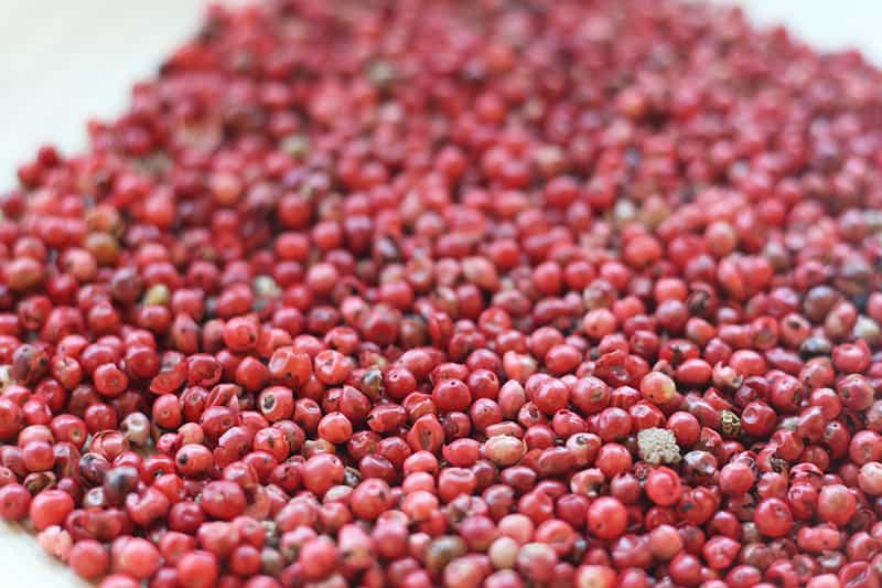 Pink peppercorn berries
