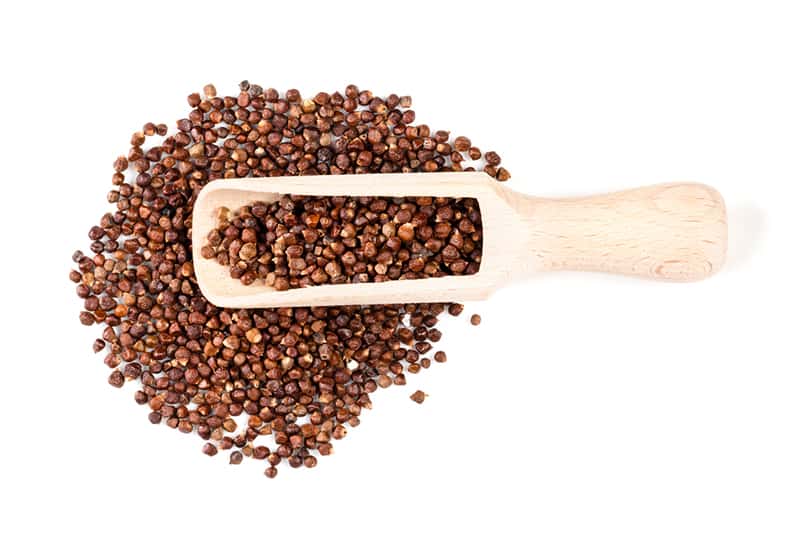 Grains of paradise spice
