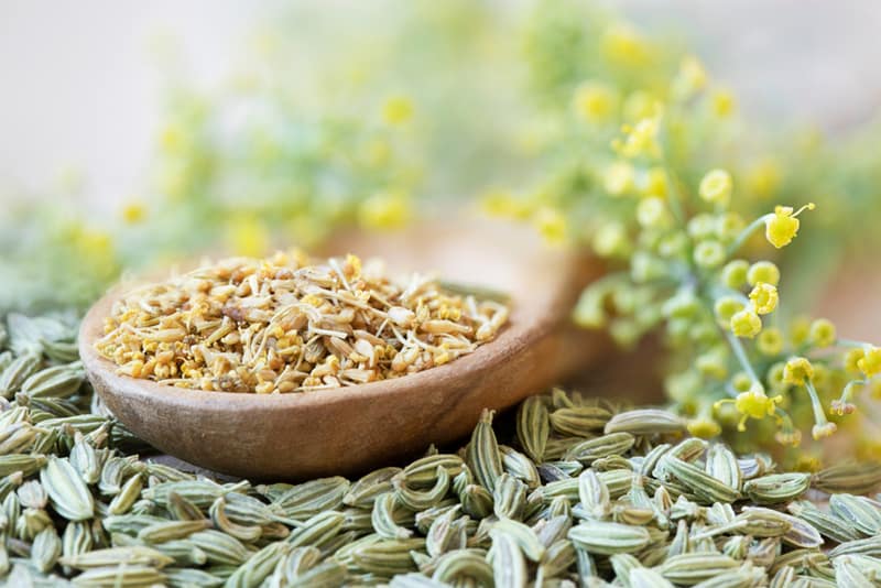 Organic fennel pollen with fennel flowers and seeds